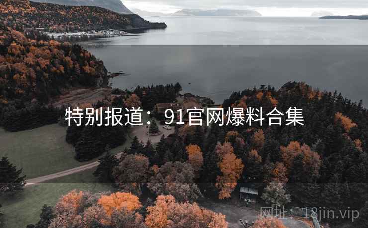 特别报道：91官网爆料合集