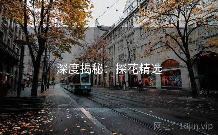 深度揭秘：探花精选