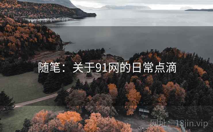 随笔：关于91网的日常点滴