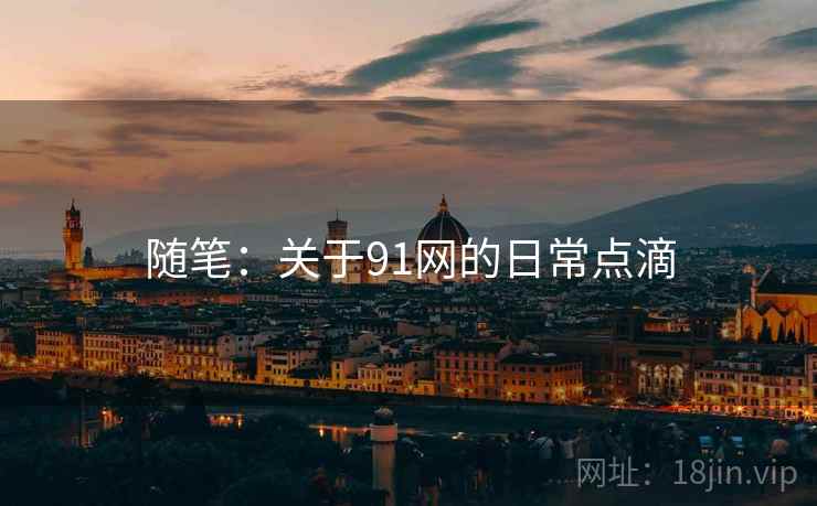 随笔：关于91网的日常点滴