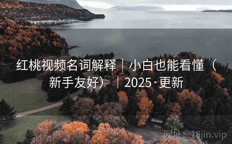 红桃视频名词解释｜小白也能看懂（新手友好）｜2025·更新