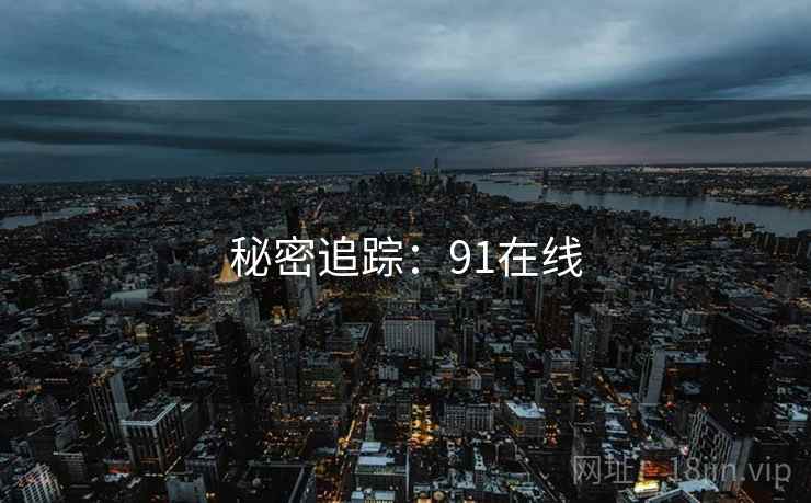 秘密追踪：91在线