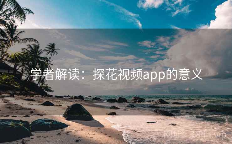 学者解读：探花视频app的意义