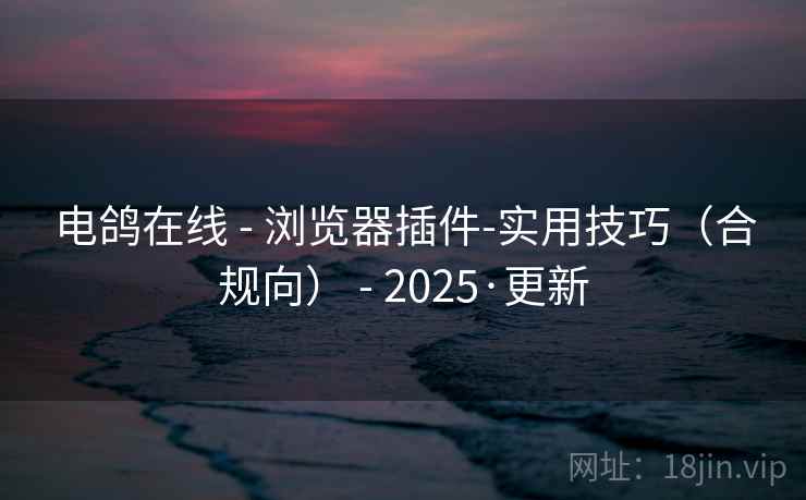 电鸽在线 - 浏览器插件-实用技巧（合规向） - 2025·更新