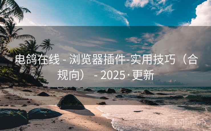 电鸽在线 - 浏览器插件-实用技巧（合规向） - 2025·更新