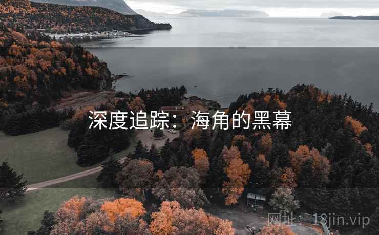 深度追踪：海角的黑幕