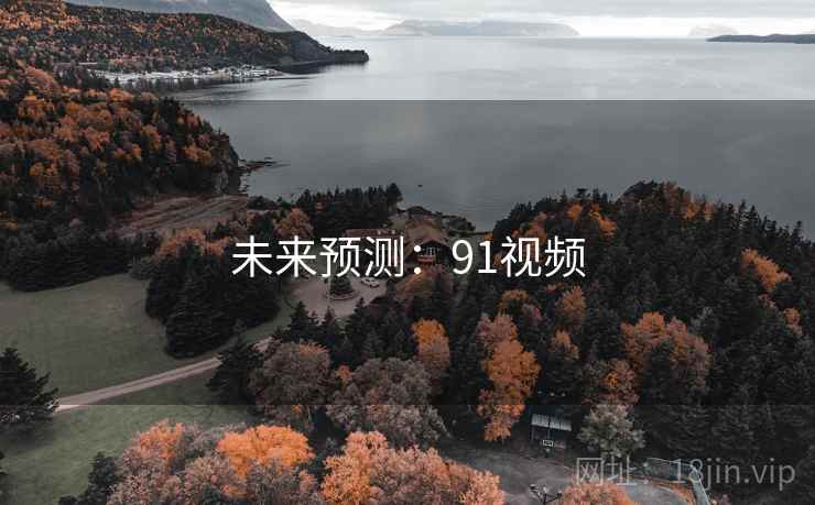 未来预测:91视频